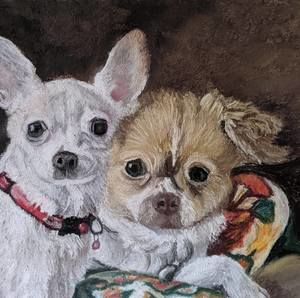 Meet your Posher, Sally